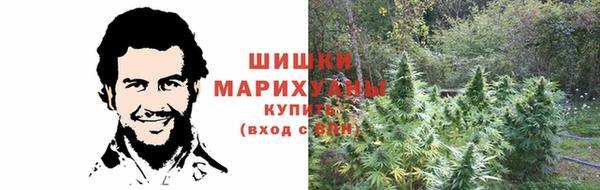 прущая мука Нея