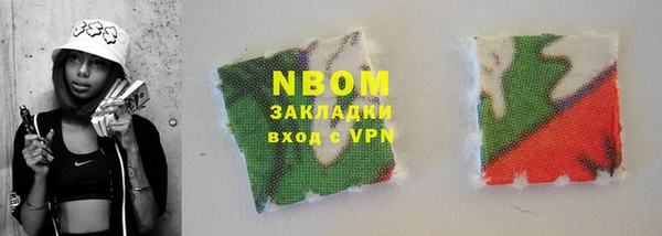 индика Новокубанск