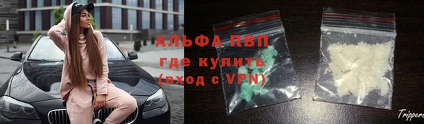 прущая мука Нея