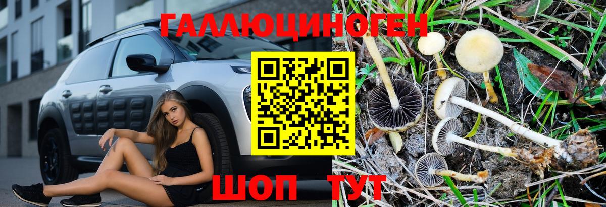 Псилоцибиновые грибы Cubensis  Псилоцибиновые грибы мицелий  Ревда 