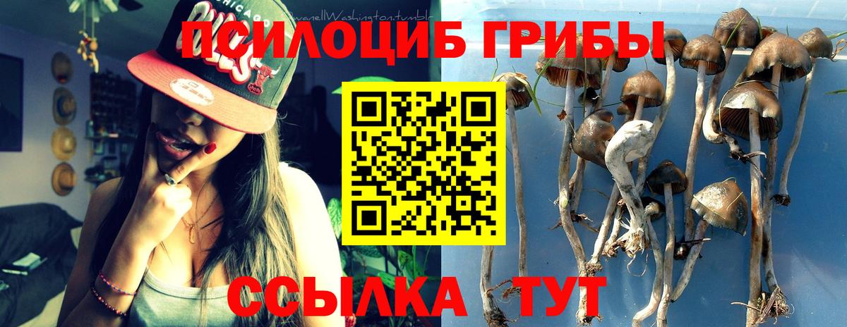 Псилоцибиновые грибы ЛСД  Вход с VPN  Псилоцибиновые грибы мухоморы  Ревда 