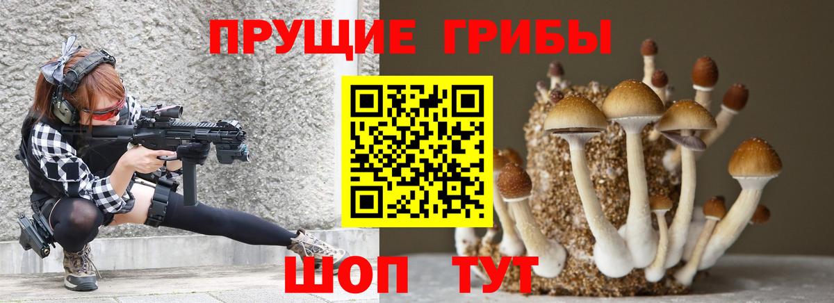 Псилоцибиновые грибы мухоморы Ревда